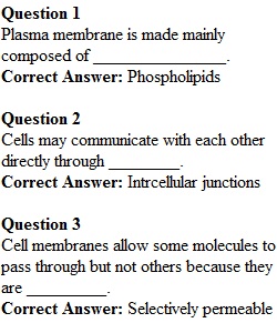 Week 5 Review Quiz